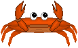 A crab chased me down the pier!